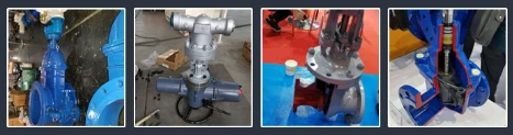 product-467-123 product-467-123