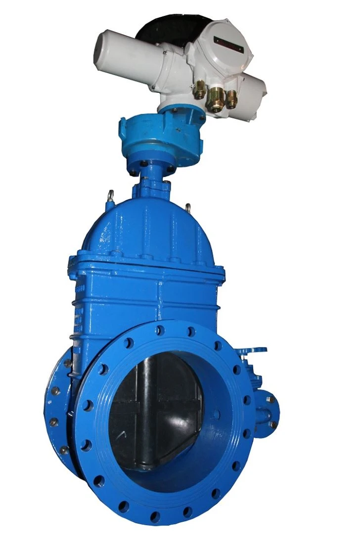 Electric Actuated Gate Valve